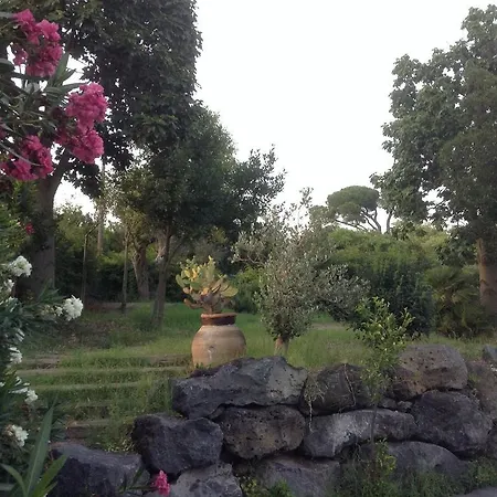 Guest house Camere-chalet *