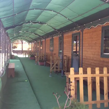 Guest house Camere-chalet
